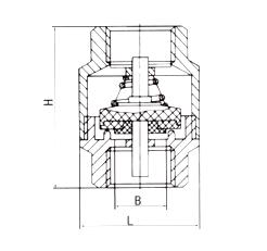 進口內螺紋立式止回閥