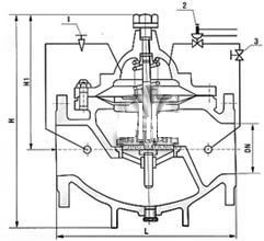 進(jìn)口壓差旁通閥